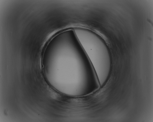 X0000096661272200802050948