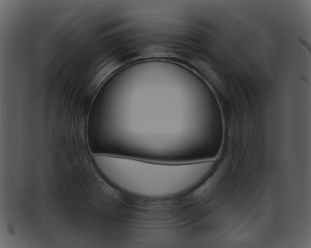 X0000096661273200802050948