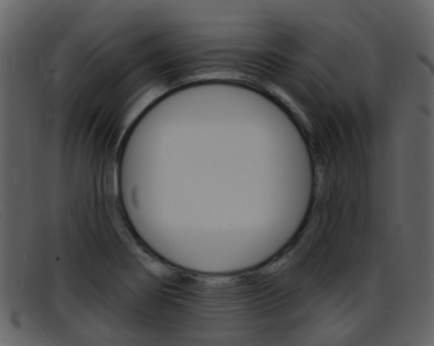 X0000096661274200802050948
