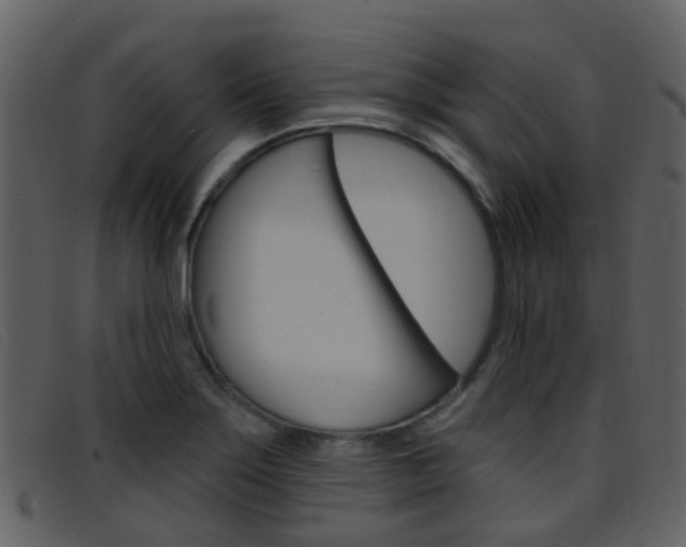 X0000096661275200802050948