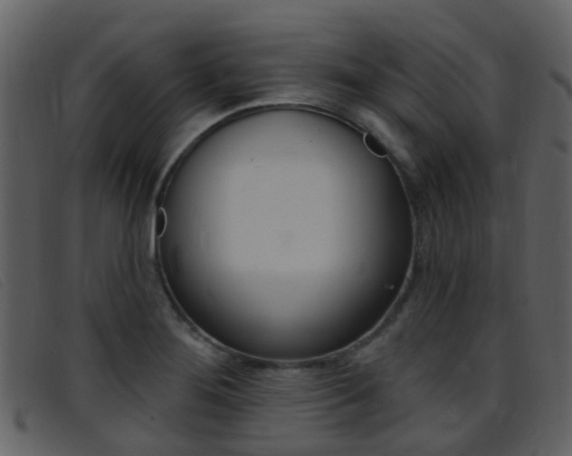 X0000096661276200802050948