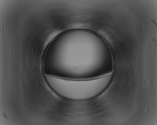 X0000096661277200802050948