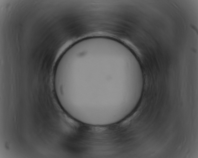 X0000096661278200802050948