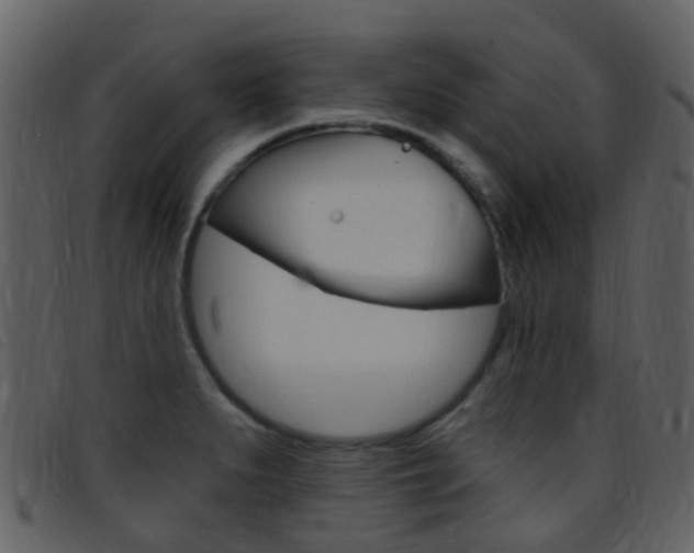 X0000096661279200802050948