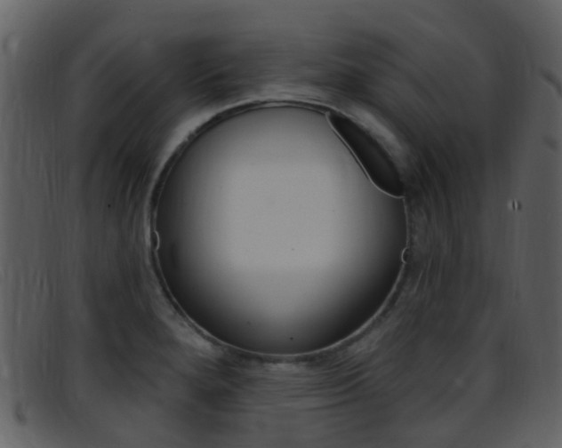 X0000096661280200802050948