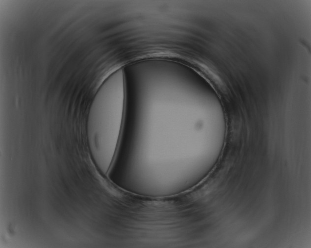X0000096661281200802050948
