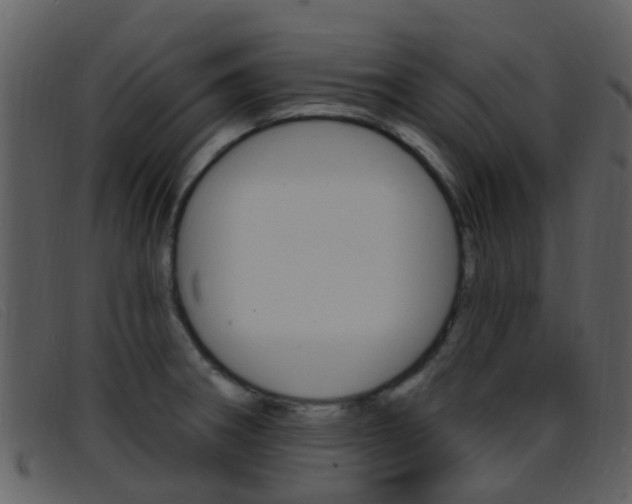 X0000096661282200802050948