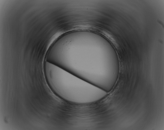 X0000096661283200802050948