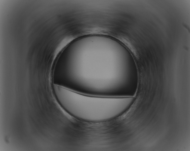 X0000096661285200802050948