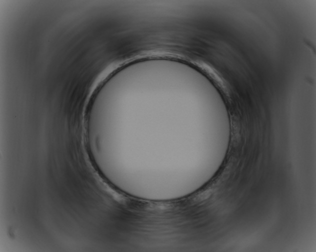 X0000096661286200802050948