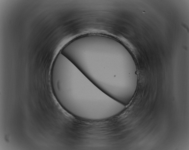 X0000096661287200802050948