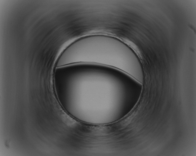 X0000096661288200802050948