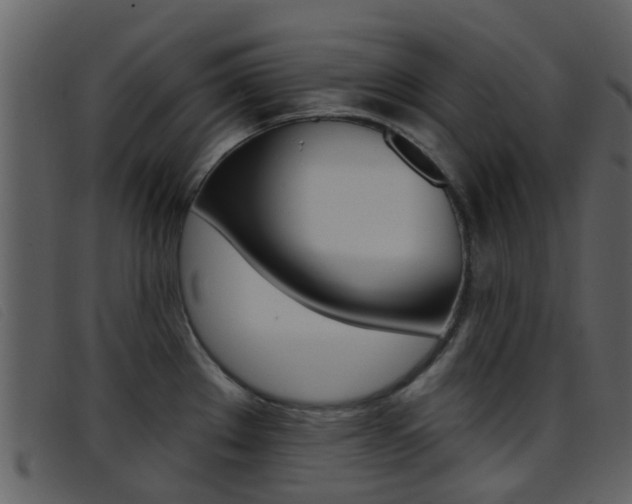 X0000096661289200802050948