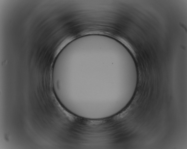 X0000096661290200802050948