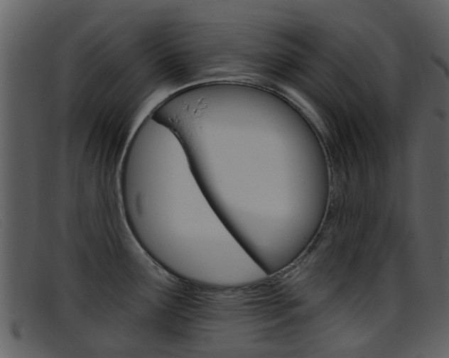 X0000096661291200802050948