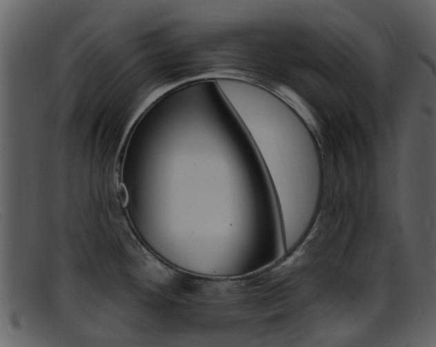 X0000096661292200802050948