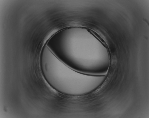 X0000096661293200802050948