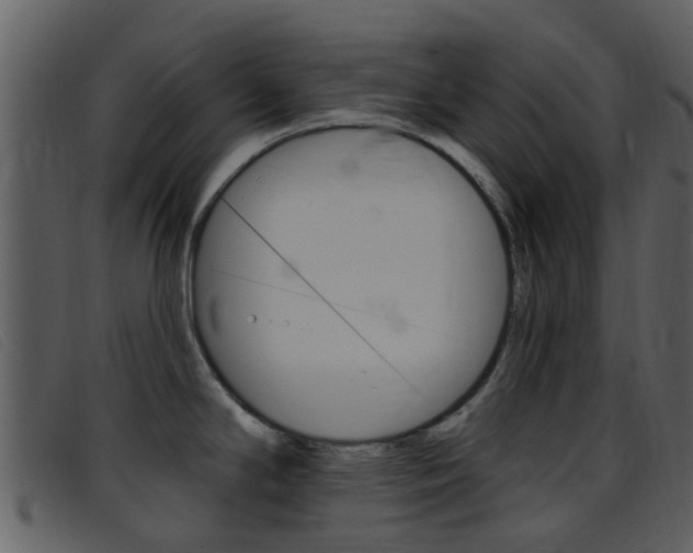 X0000096661294200802050948