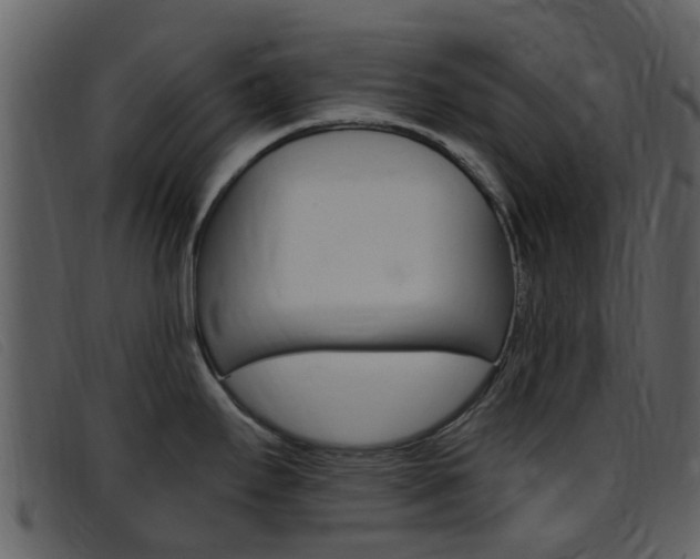 X0000096661295200802050948