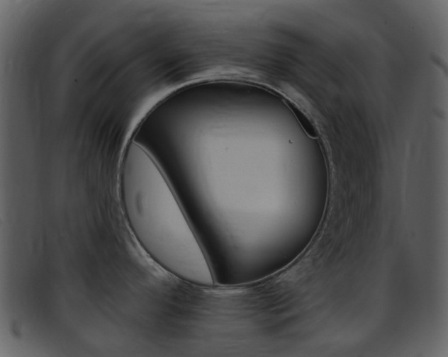 X0000096661296200802050948