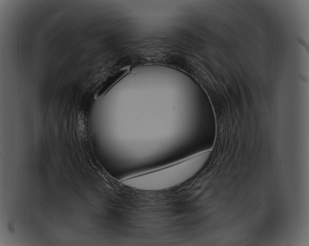 X0000096661298200802050947