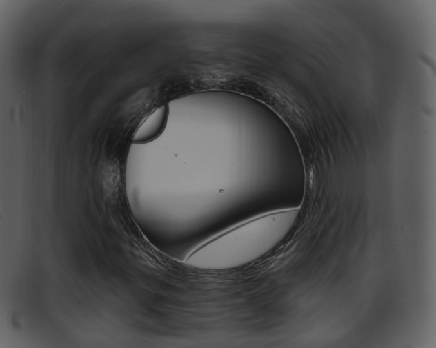 X0000096661299200802050947
