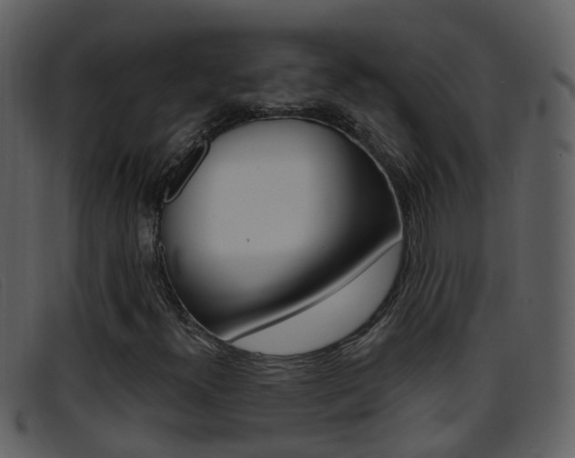 X0000096661300200802050947