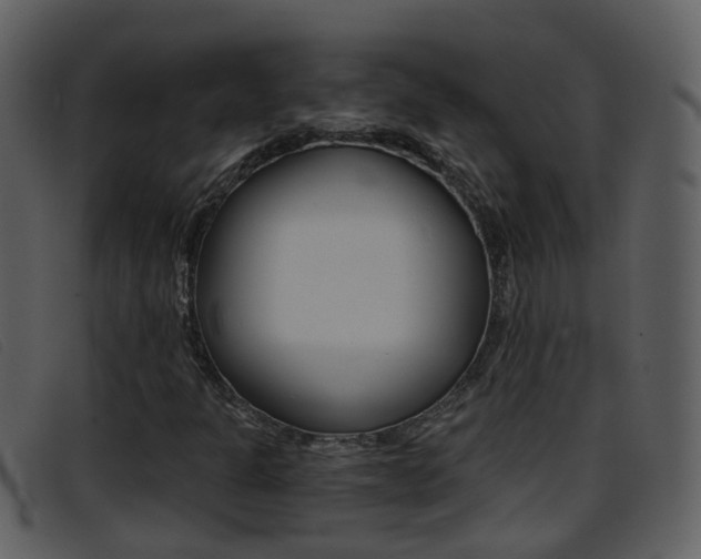 X0000096661301200802050947