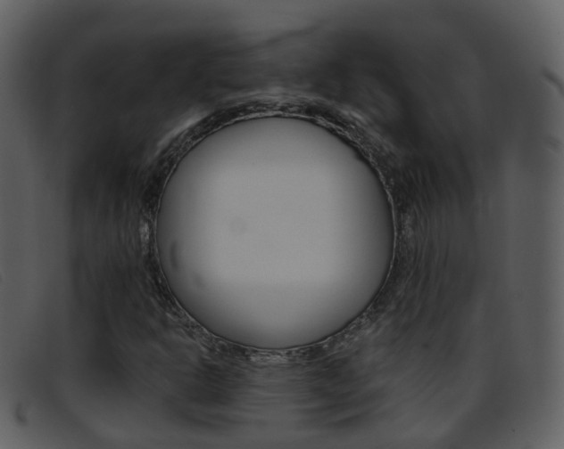 X0000096661302200802050947