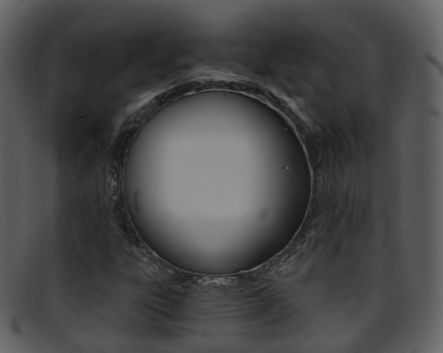 X0000096661303200802050947