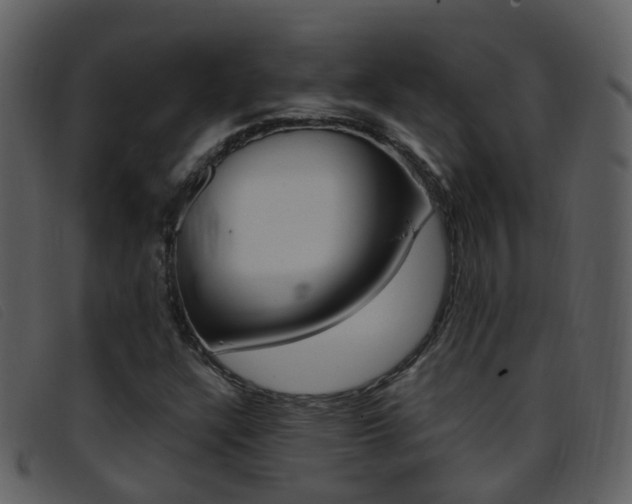 X0000096661304200802050947