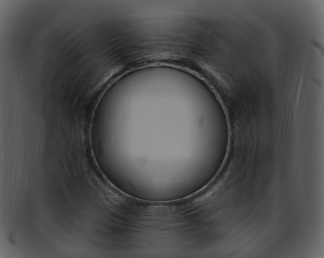 X0000096661305200802050947