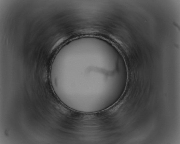 X0000096661306200802050947