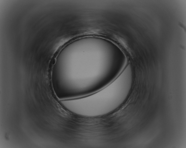 X0000096661308200802050947