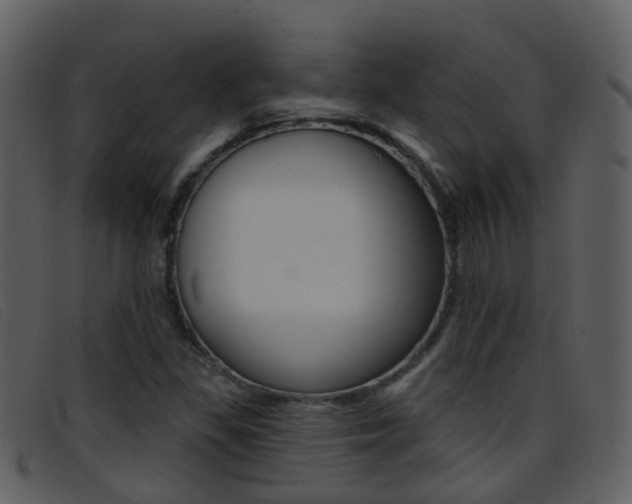 X0000096661309200802050947