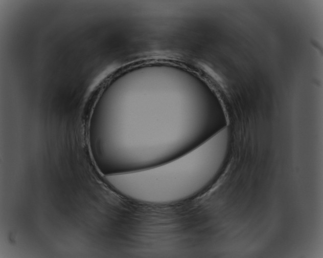 X0000096661310200802050947