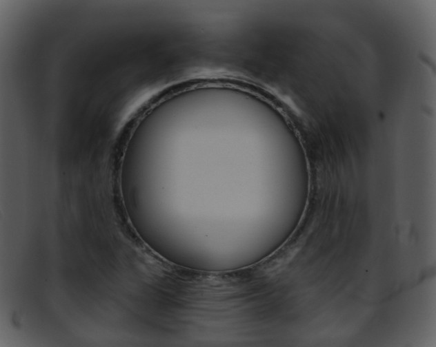 X0000096661311200802050947