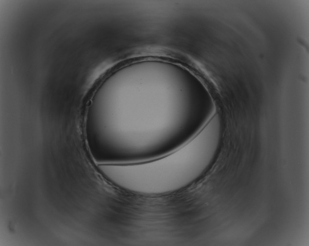 X0000096661312200802050947