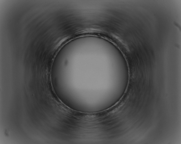 X0000096661313200802050947