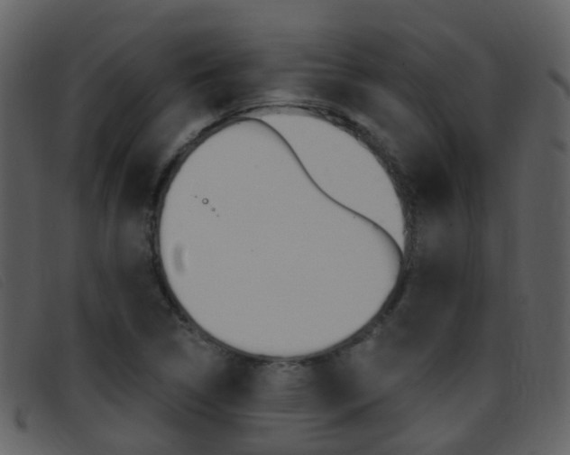X0000096661314200802050947