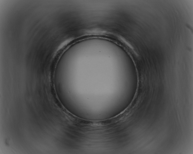 X0000096661315200802050947