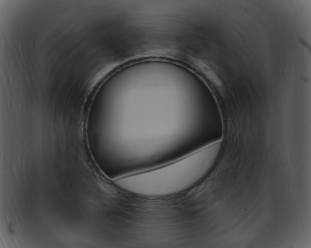 X0000096661316200802050947