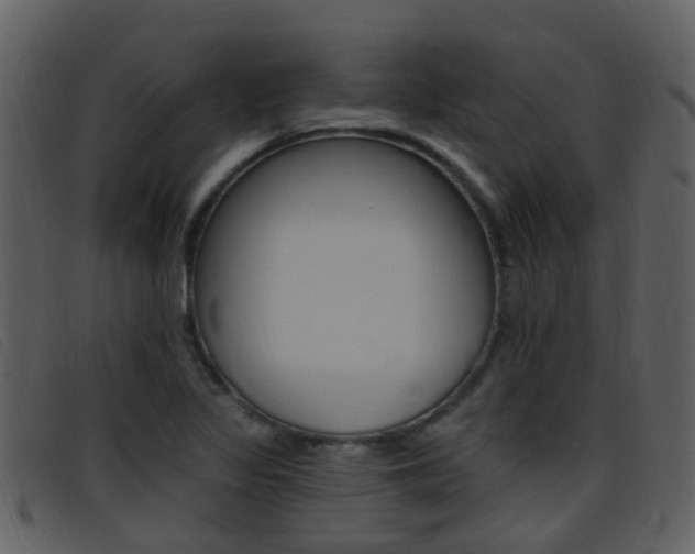 X0000096661317200802050947