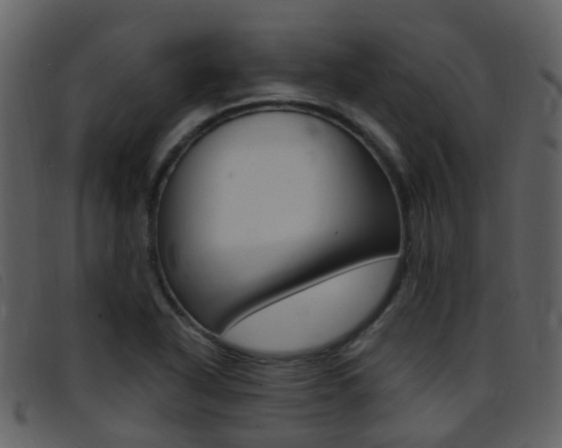 X0000096661318200802050947