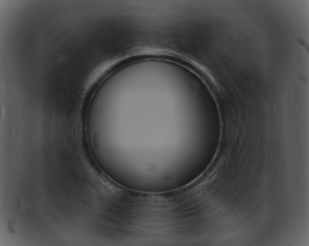 X0000096661319200802050947