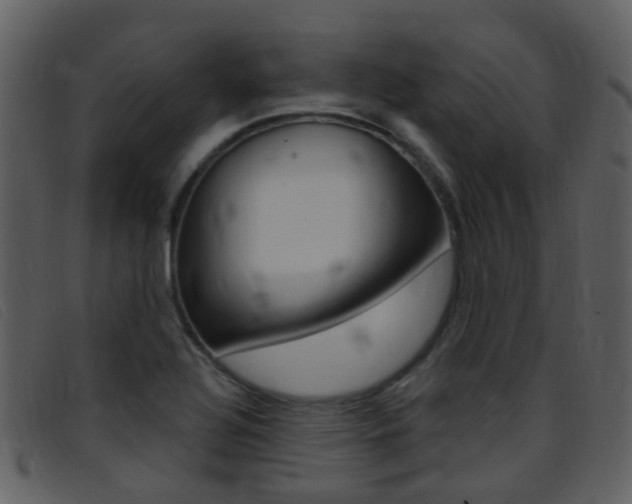 X0000096661320200802050947