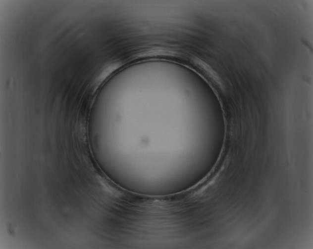 X0000096661321200802050948