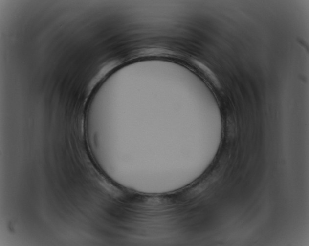 X0000096661322200802050948
