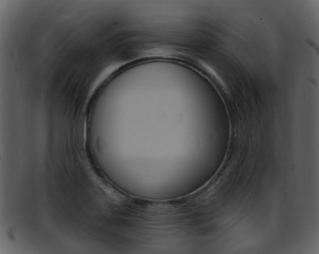 X0000096661323200802050948