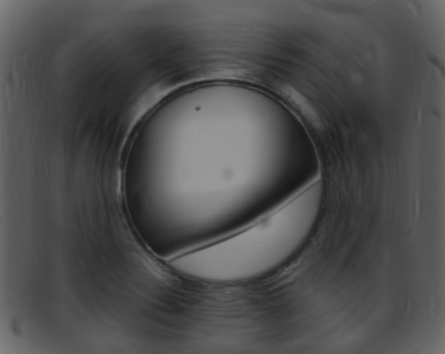 X0000096661324200802050948